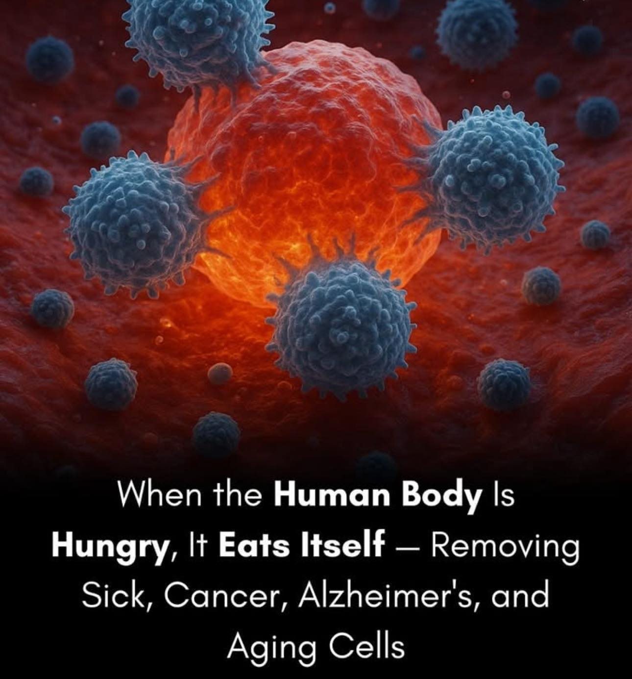 The Healing Power of Hunger: How Autophagy Unlocks the Body’s Self-Renewal Code