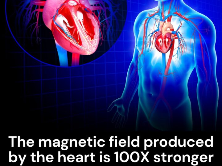 The Hidden Intelligence of the Heart: How Emotions Shape Our Inner and Outer World