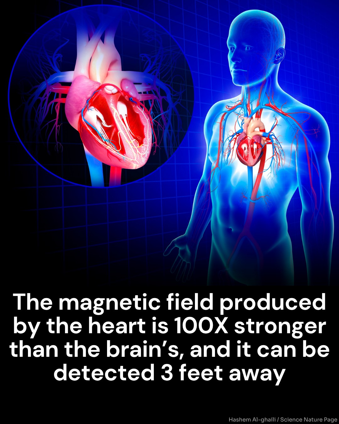 The Hidden Intelligence of the Heart: How Emotions Shape Our Inner and Outer World